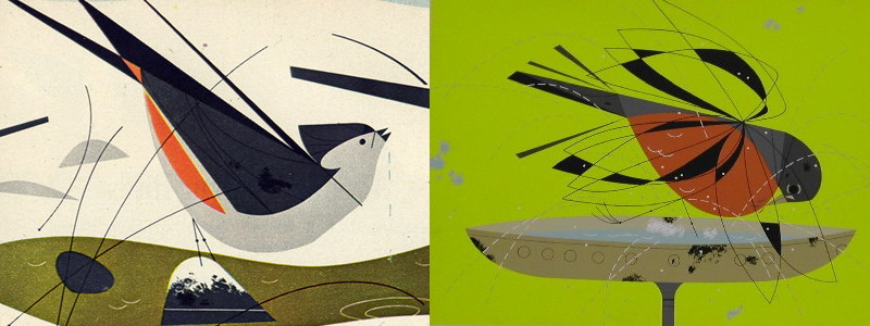 Shipping Policy | Charley Harper Prints