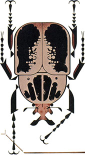 Beetle | Charley Harper Prints | For Sale
