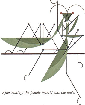 Pray Mantis | Charley Harper Prints | For Sale