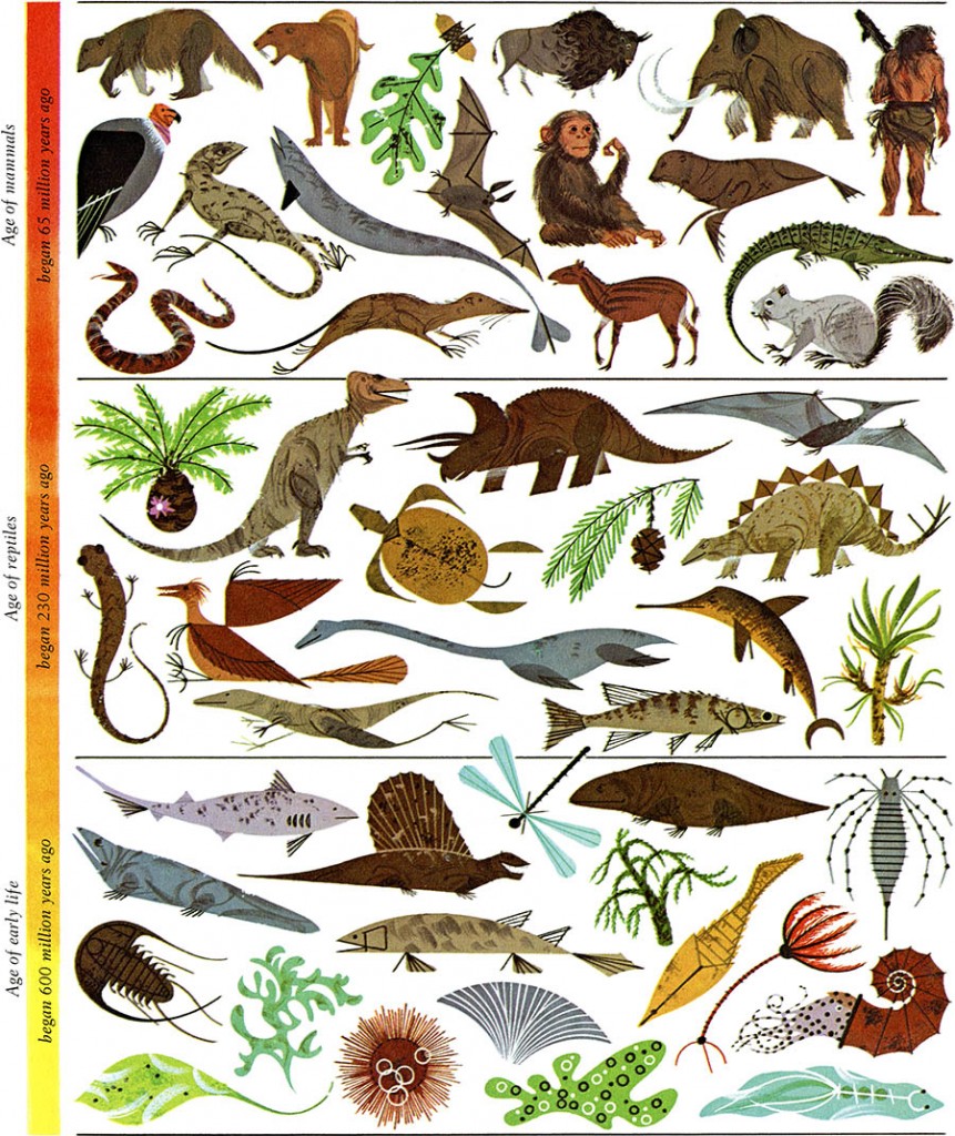 Evolution Mosaic | Charley Harper Prints | For Sale