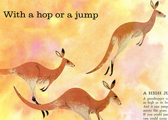 Kangaroo | Charley Harper Prints | For Sale